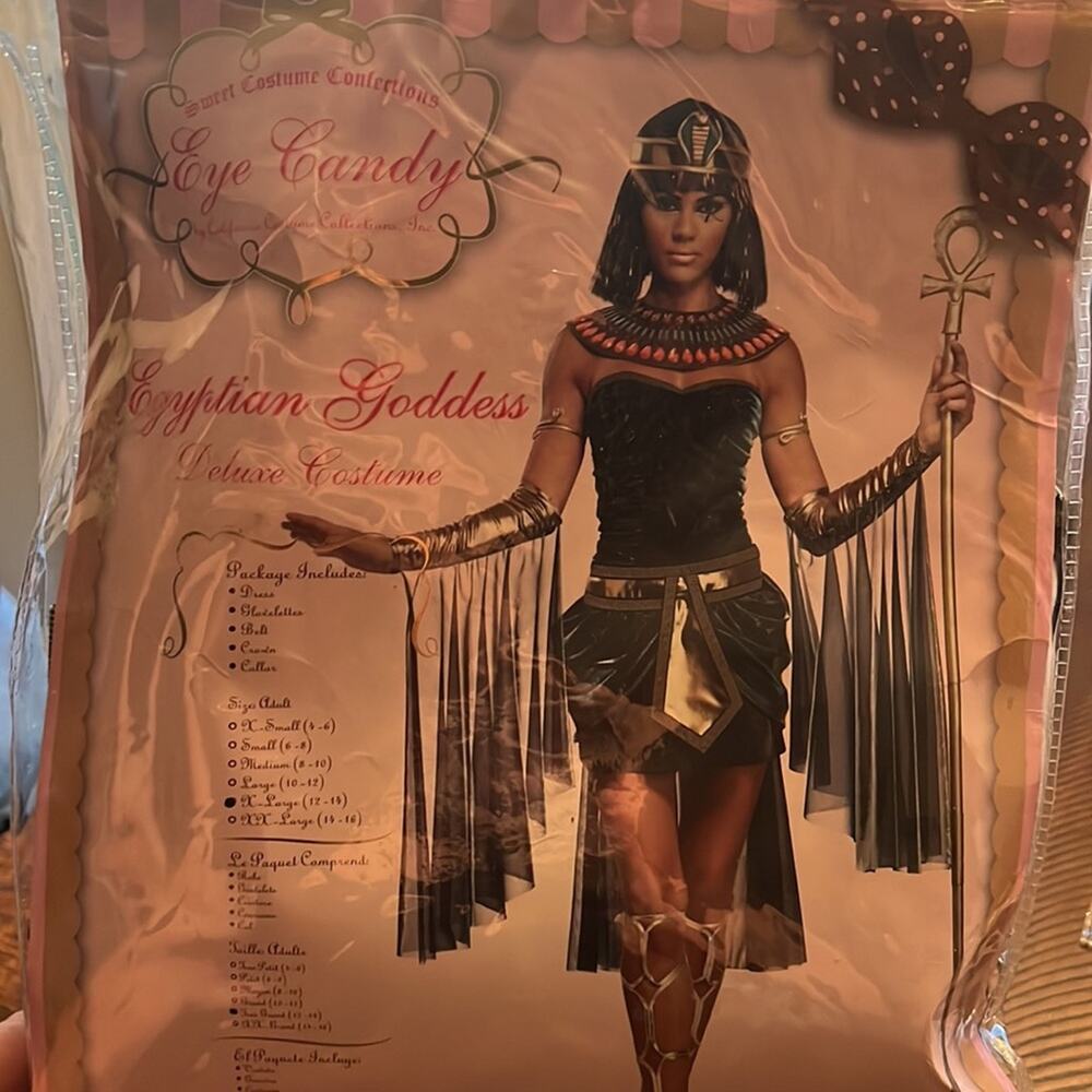 Egyptian Goddess Women's Adult Halloween Costume